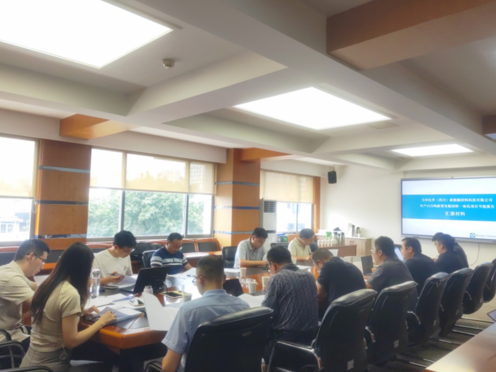 万华化学(四川)新能源材料科技有限公司年产12万吨新型负极材料一体化项目节能报告评审会议.jpg