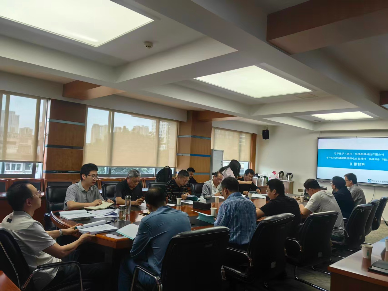 万华化学(四川)电池材料科技有限公司年产12万吨磷酸铁锂锂电正极材料一体化项目节能报告评审会.jpg