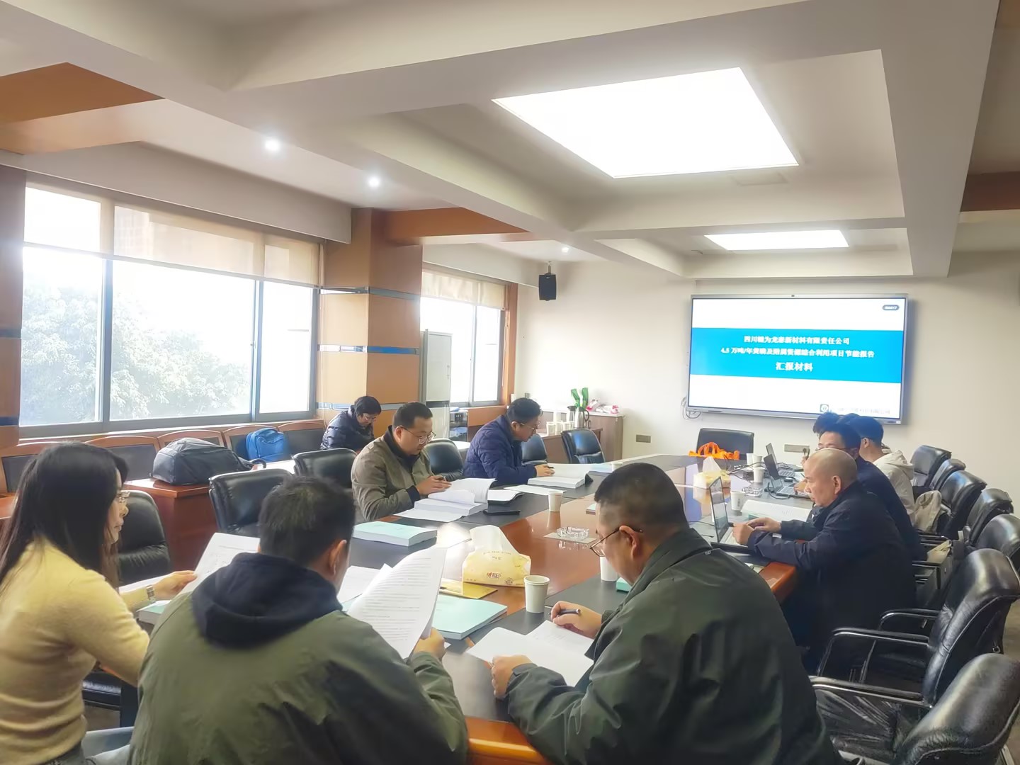四川犍为龙泰新材料有限责任公司4.5万吨年黄磷及附属资源综合利用项目节能报告评审会议.jpg