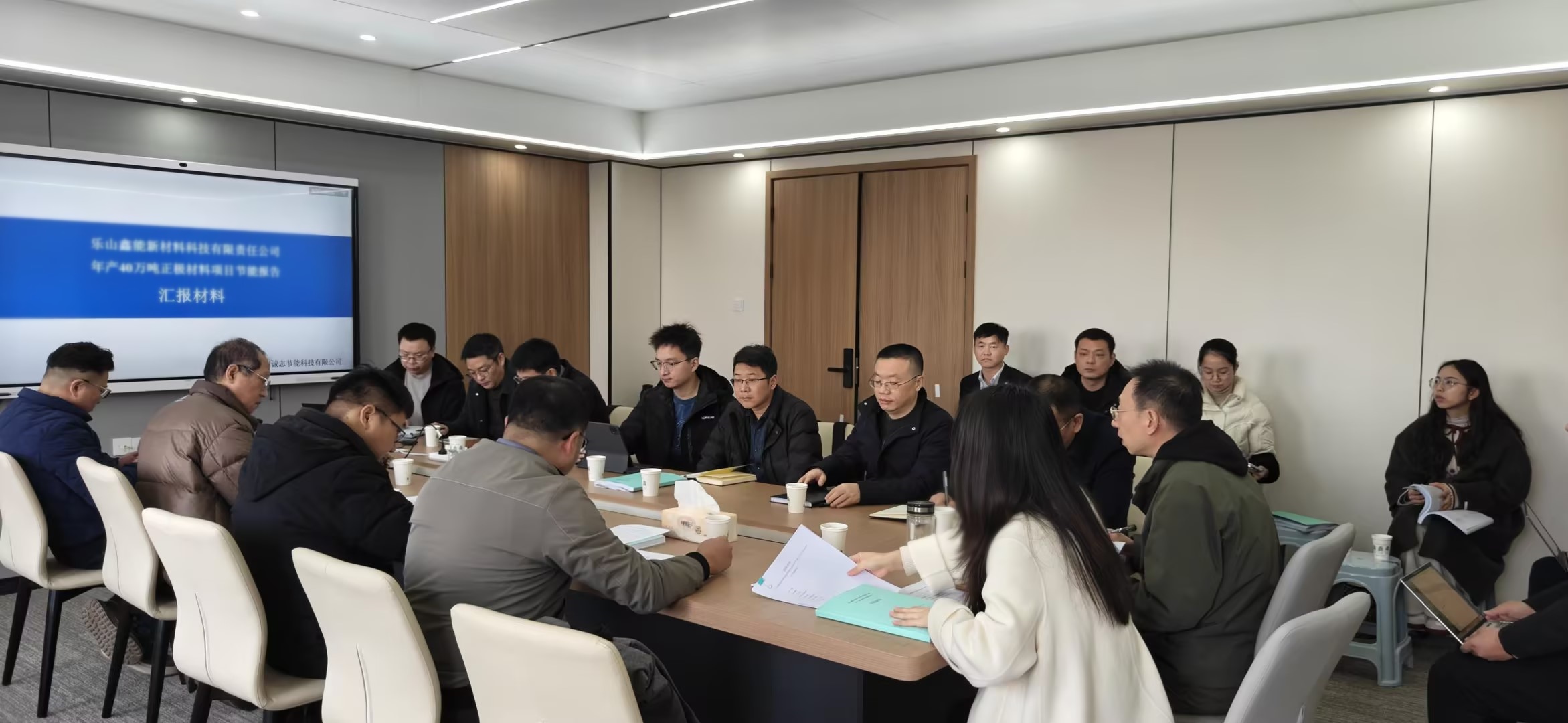 乐山鑫能新材料科技有限责任公司年产40万吨正极材料项目节能报告评审会议.jpg